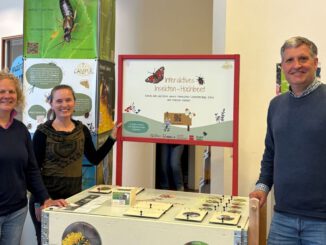 I²-CAMPUS-Infotrail bringt Insektenvielfalt in die Mainzer Innenstadt