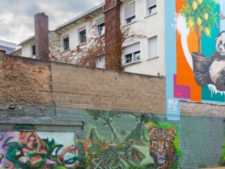 Stadtdschungel und Sitzmöbel: Rüsselsheimer Zwischennutzung auf ehemaliger Brandfläche startet im August