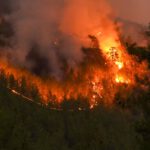 Waldbrandgefahr in Taunusregion: Grillverbot auf städtischen Anlagen bleibt in Kraft