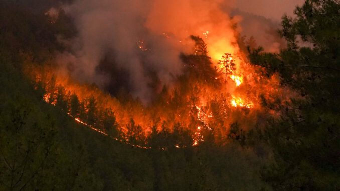 Waldbrandgefahr in Taunusregion: Grillverbot auf städtischen Anlagen bleibt in Kraft Waldbrandgefahr in Taunusregion: Grillverbot auf städtischen Anlagen bleibt in Kraft